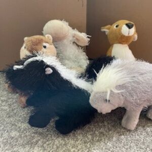Webkinz